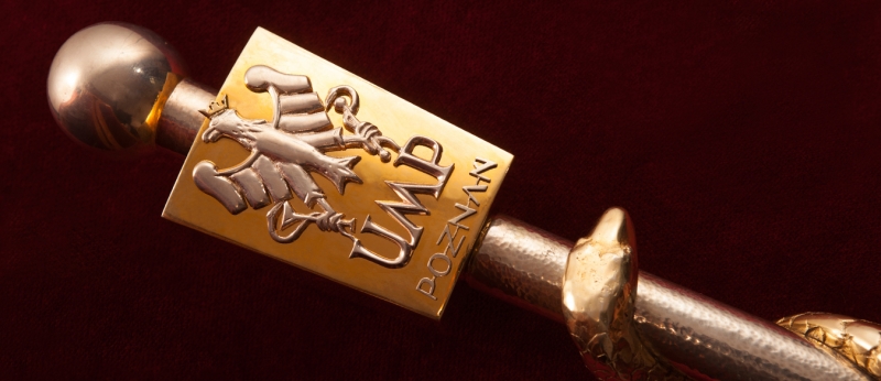 Gold and silver sword with the image of a golden eagle on the handle, symbolizing strength and majesty.
