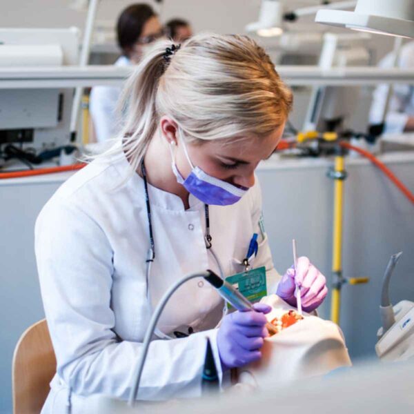 A dental student concentrating on a procedure, working on a model or patient in a clinical environment. The student is wearing a white coat, mask, and purple gloves, highlighting the focus and precision required in dental training.