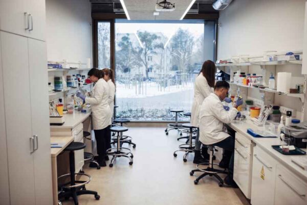 A wide view of a modern laboratory with multiple students working at benches. Large windows offer a view of a snowy scene outside, while the students remain focused on their experiments, surrounded by lab equipment.