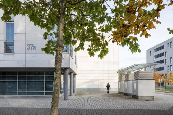 Main Library - partial view