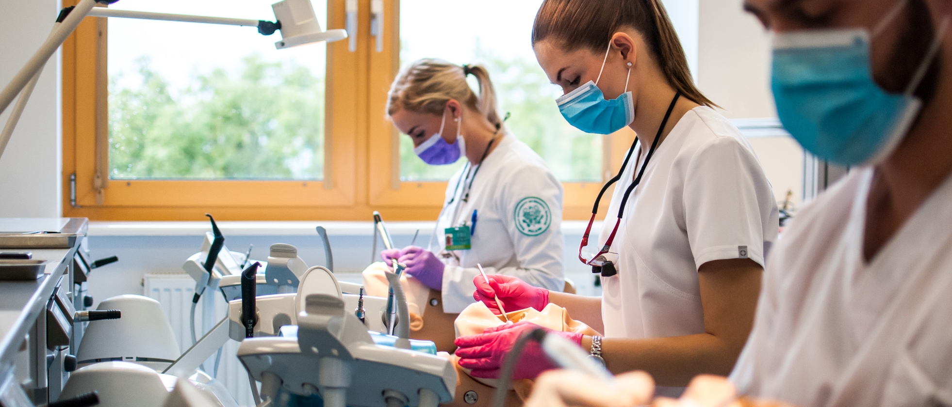 Dentistry <strong>Program </strong>