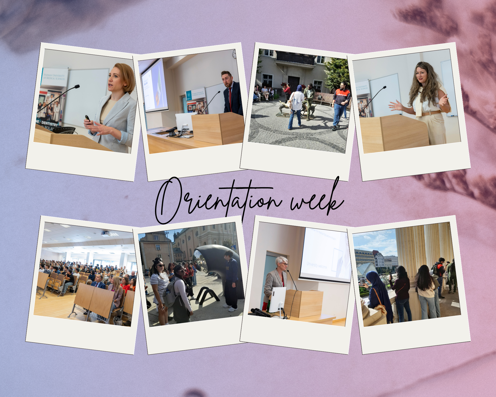 A color design layout with selected photos from orientation week events